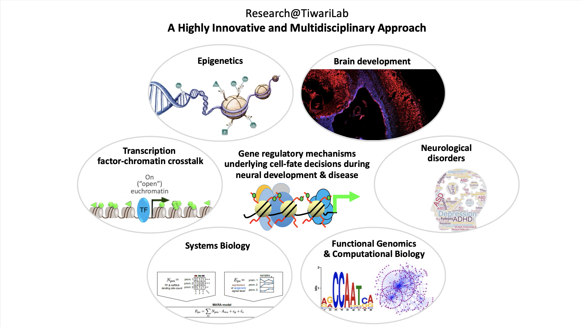 Multidiciplinary approach to Gene regulatory mechanisms undelying cell-fate during neural development & desease 