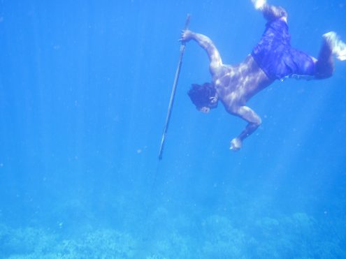 A Bajau diver hunts fish underwater using a traditional spear.