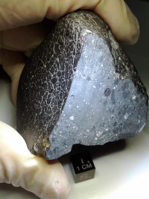 The mars meteorite Northwest Africa 7034 also known as Black Beauty.