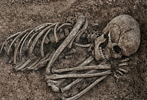 Human skeleton (Photo: University of Copenhagen)