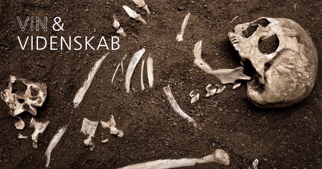 Billedet er én af Vin og Videnskabs reklamefotos for arrangementet med et billede af et kranie samt knoglerester fra et menneskeskelet.