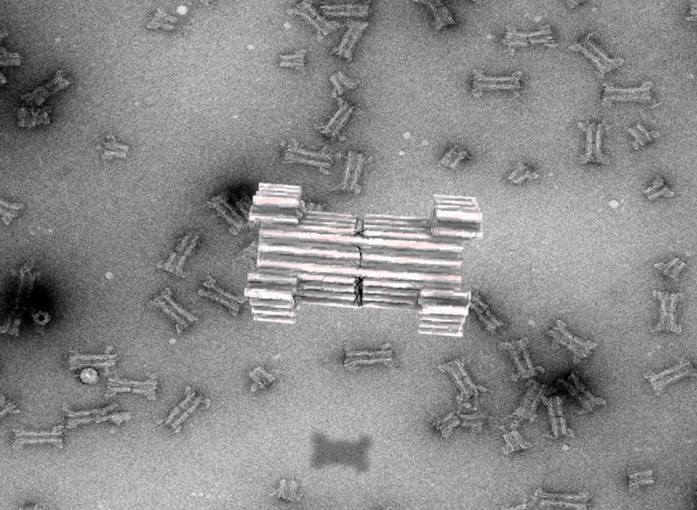 Fotoet illustrerer nanopore, som CellPAT-forskere har bygget ud af DNA.