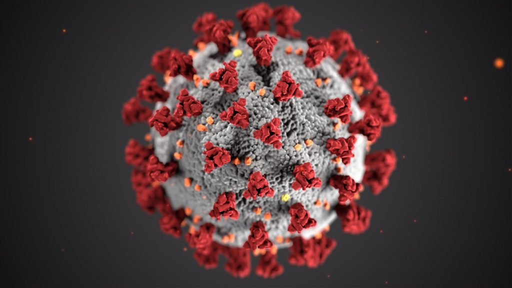 The image shows a graphic illustration of the coronavirus.