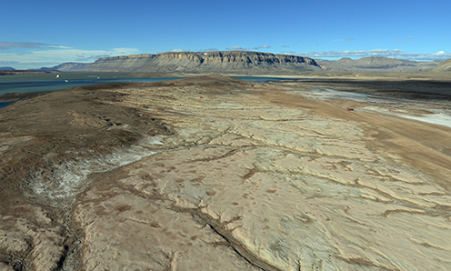 Billedet viser den golde jord i Peary Land i Nordgrønland.