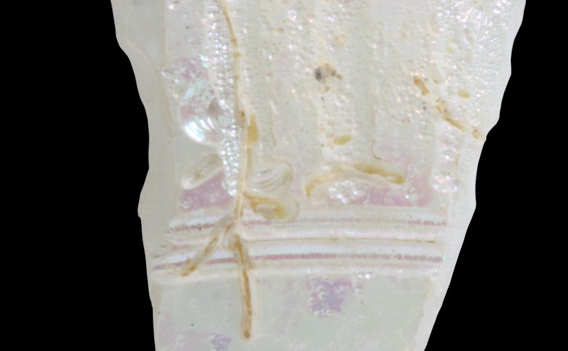 ): Et af de farveløse stykker glas fra Jerash, Jordan, som er blevet analyseret. De lilla pletter skyldes udelukkende forvitring af glasset.