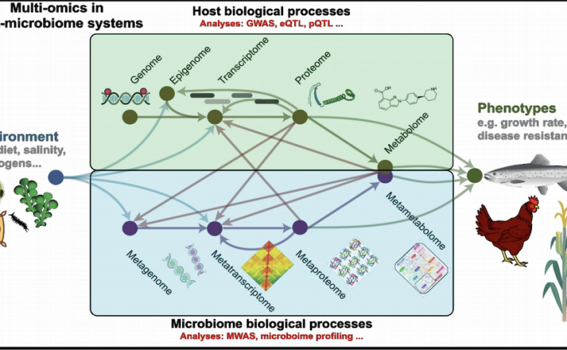 Figuren viser den komplekse biologiske proces, som man finder i vært og mikrobiom-systemer. Foto: Københavns Universitet.