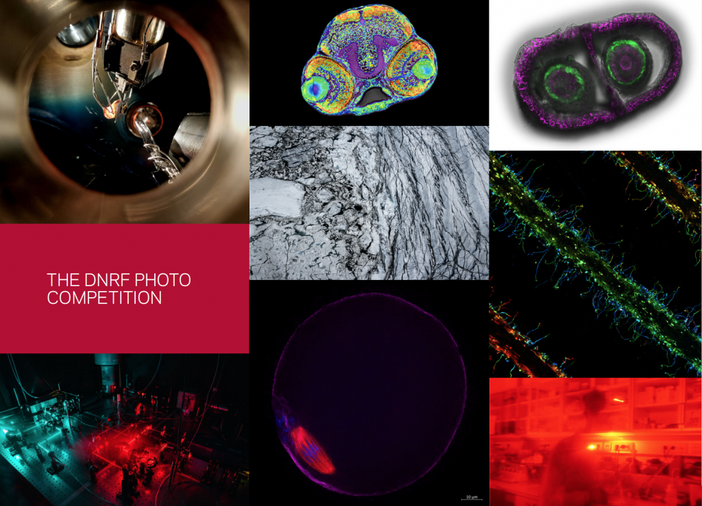 A collage of photos from the Photo Competition 2021.