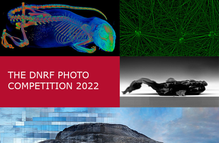 Collage Photocompetition2022