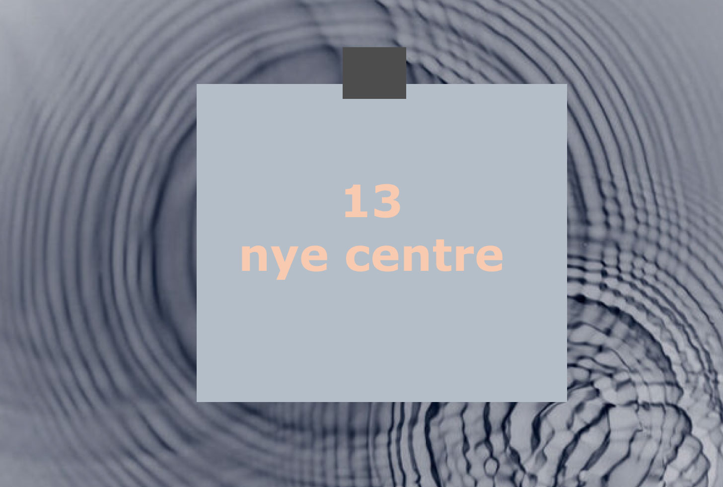 13 nye centre